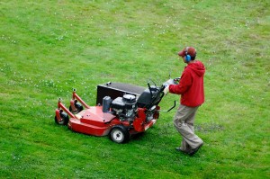 tree service Shreveport LA