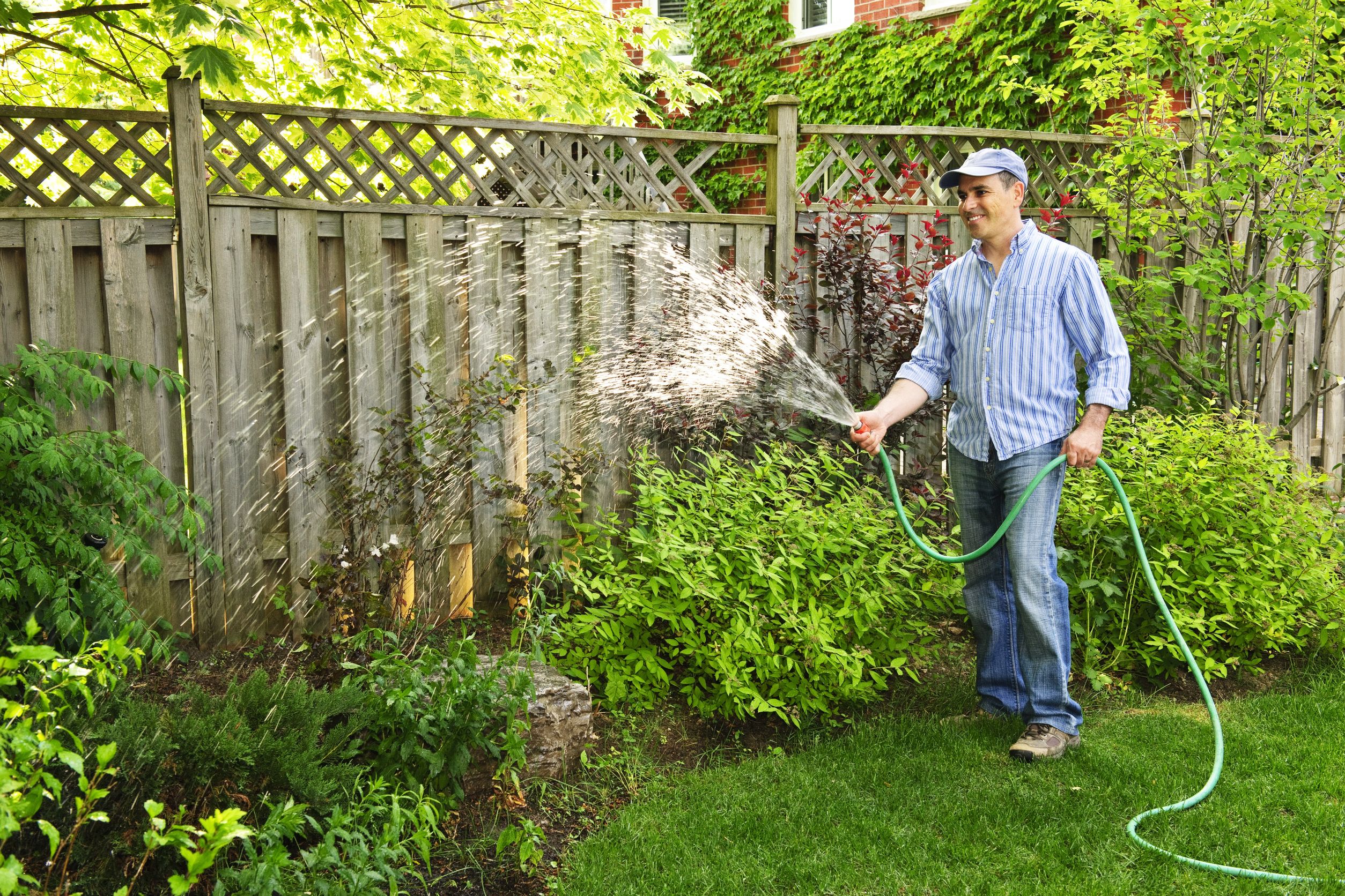 Tips for Tree Planting and Pruning