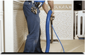 Reasons You Might Need Professional Carpet Cleaning in Long Beach