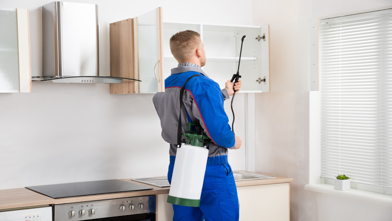 5 Warning Signs Your Home Needs Pest Control Services in Boynton Beach Florida