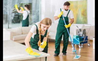 Experience the Ease of a Pristine Home with Katy Cleaning